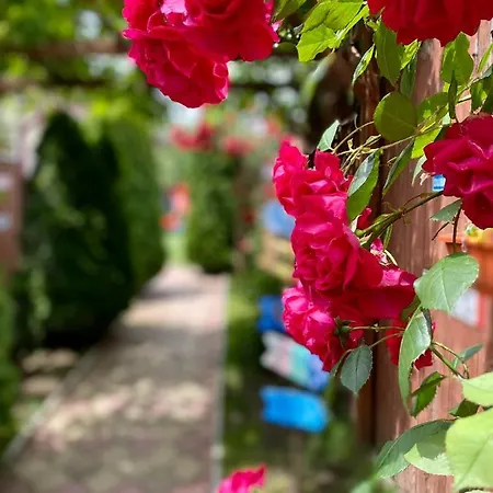 Gemini House Ultracentral 3 Margarete