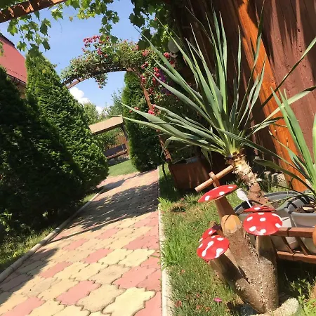 Gemini House Ultracentral 3 Margarete Pensiune Costineşti