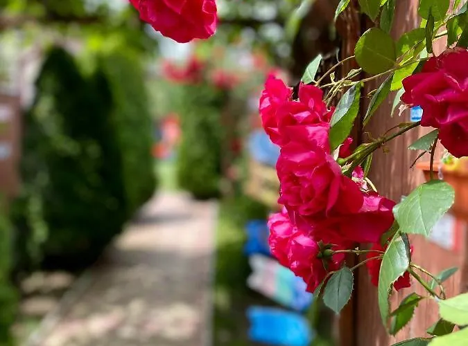 Gemini House Ultracentral 3 Margarete